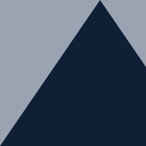 Velum Capital